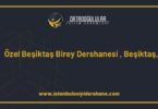 ozel besiktas birey dershanesi besiktas istanbul 1385