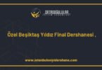 ozel besiktas yildiz final dershanesi besiktas istanbul 1387