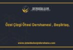 ozel cizgi otesi dershanesi besiktas istanbul 1382