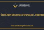 ozel engin dalyaman dershanesi besiktas istanbul 1379