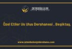 ozel etiler us ulus dershanesi besiktas istanbul 1390