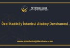 ozel kadikoy istanbul atabey dershanesi kadikoy istanbul 1479